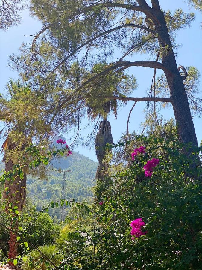 El Botanico De Sagra Hotel Eksteriør billede