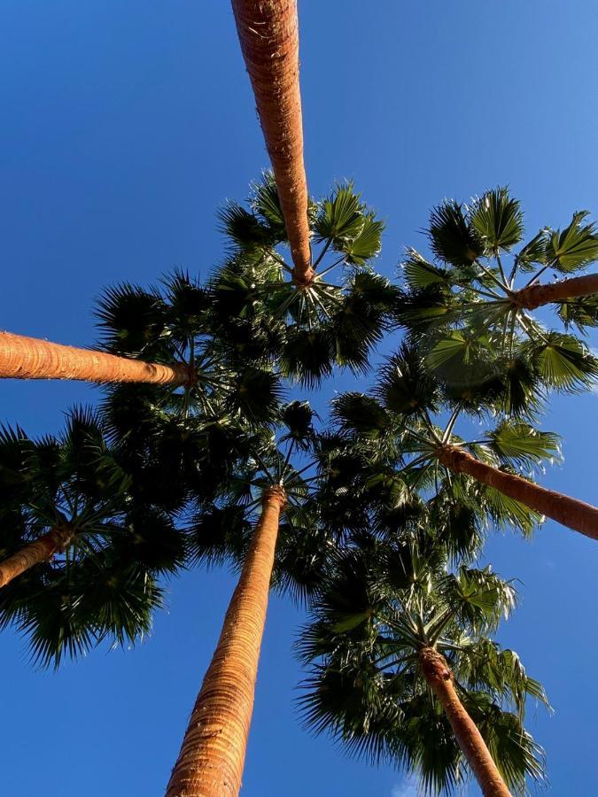 El Botanico De Sagra Hotel Eksteriør billede