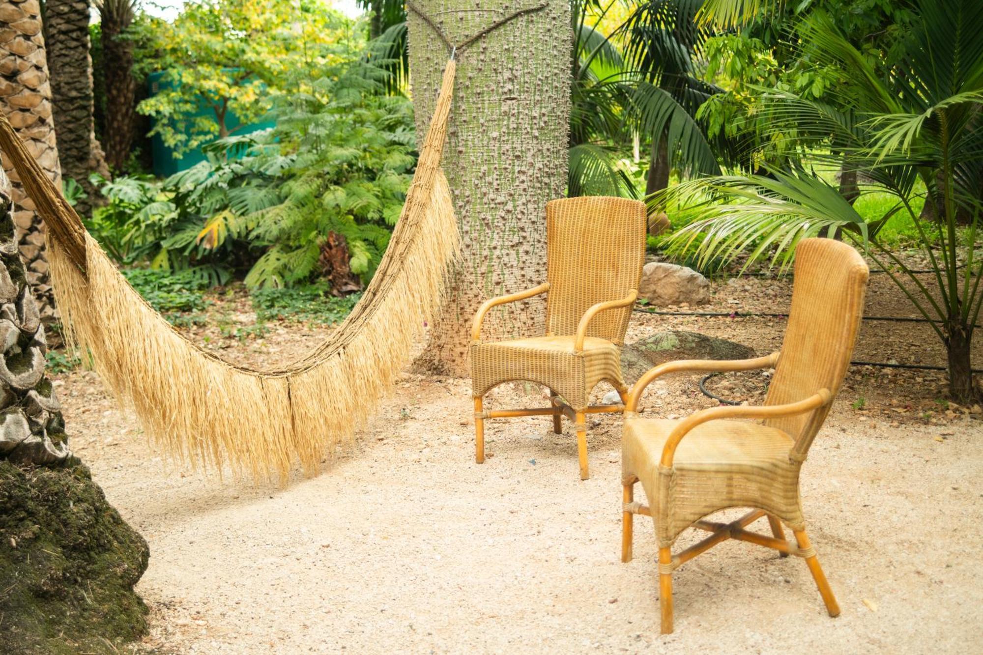 El Botanico De Sagra Hotel Eksteriør billede