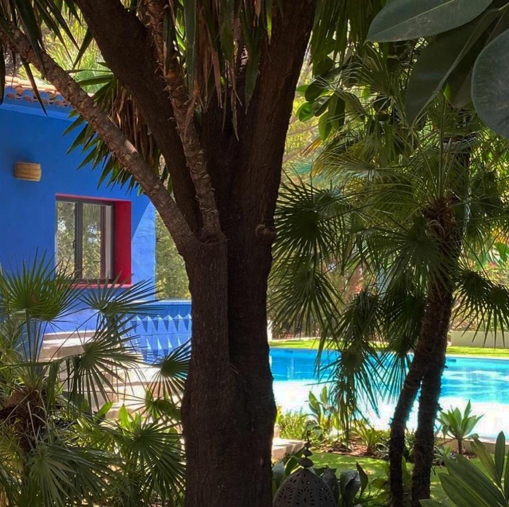 El Botanico De Sagra Hotel Eksteriør billede