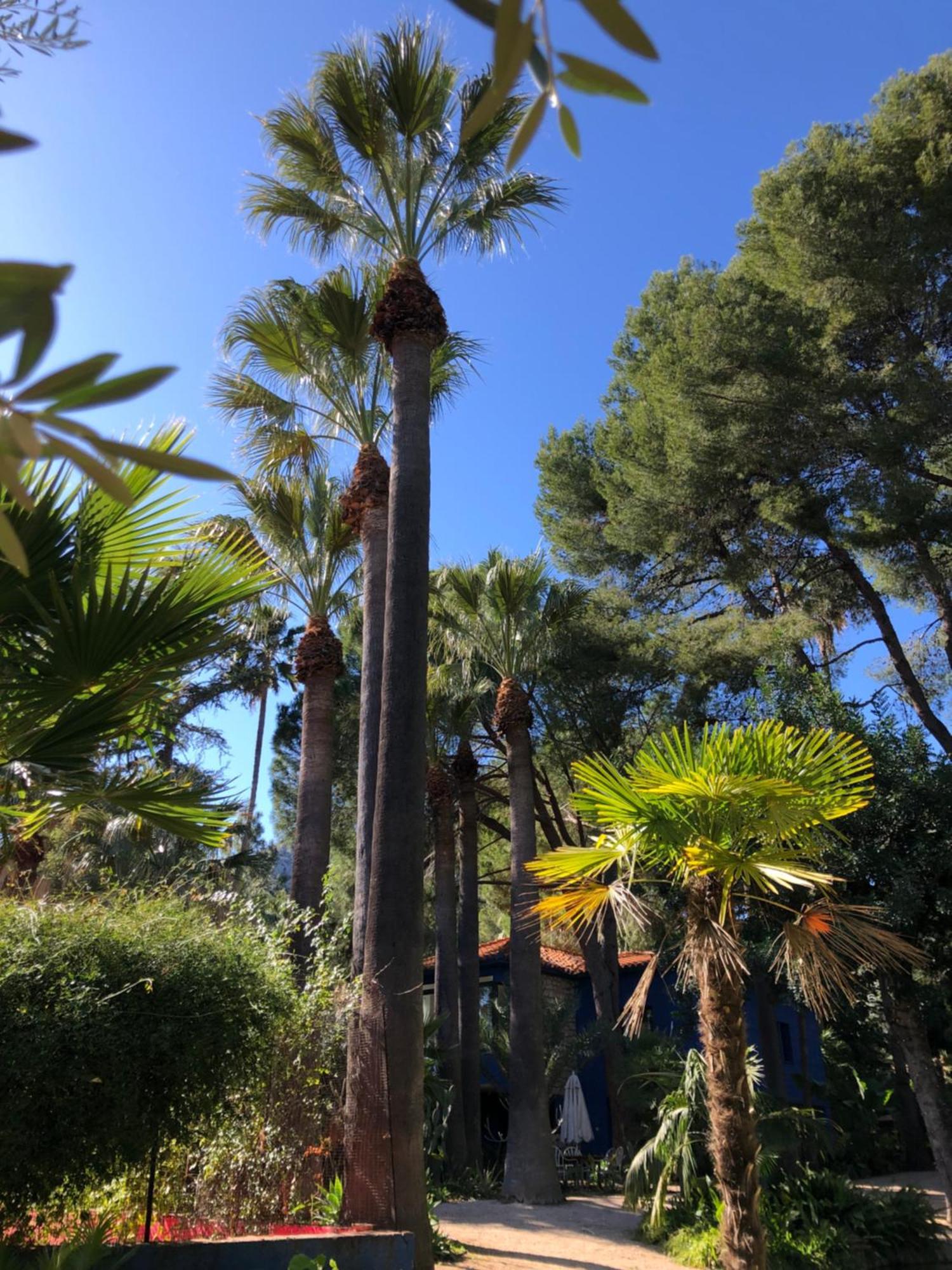 El Botanico De Sagra Hotel Eksteriør billede